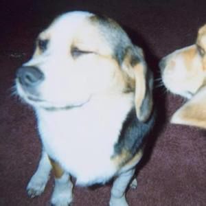 Meet your Posher, Ellen